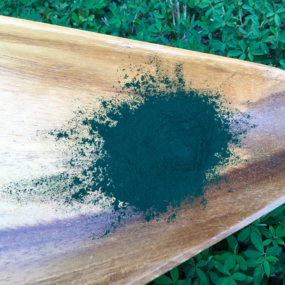 Spirulina Algae Powder A close-up of vibrant, dark green organic spirulina powder on a natural wooden surface.