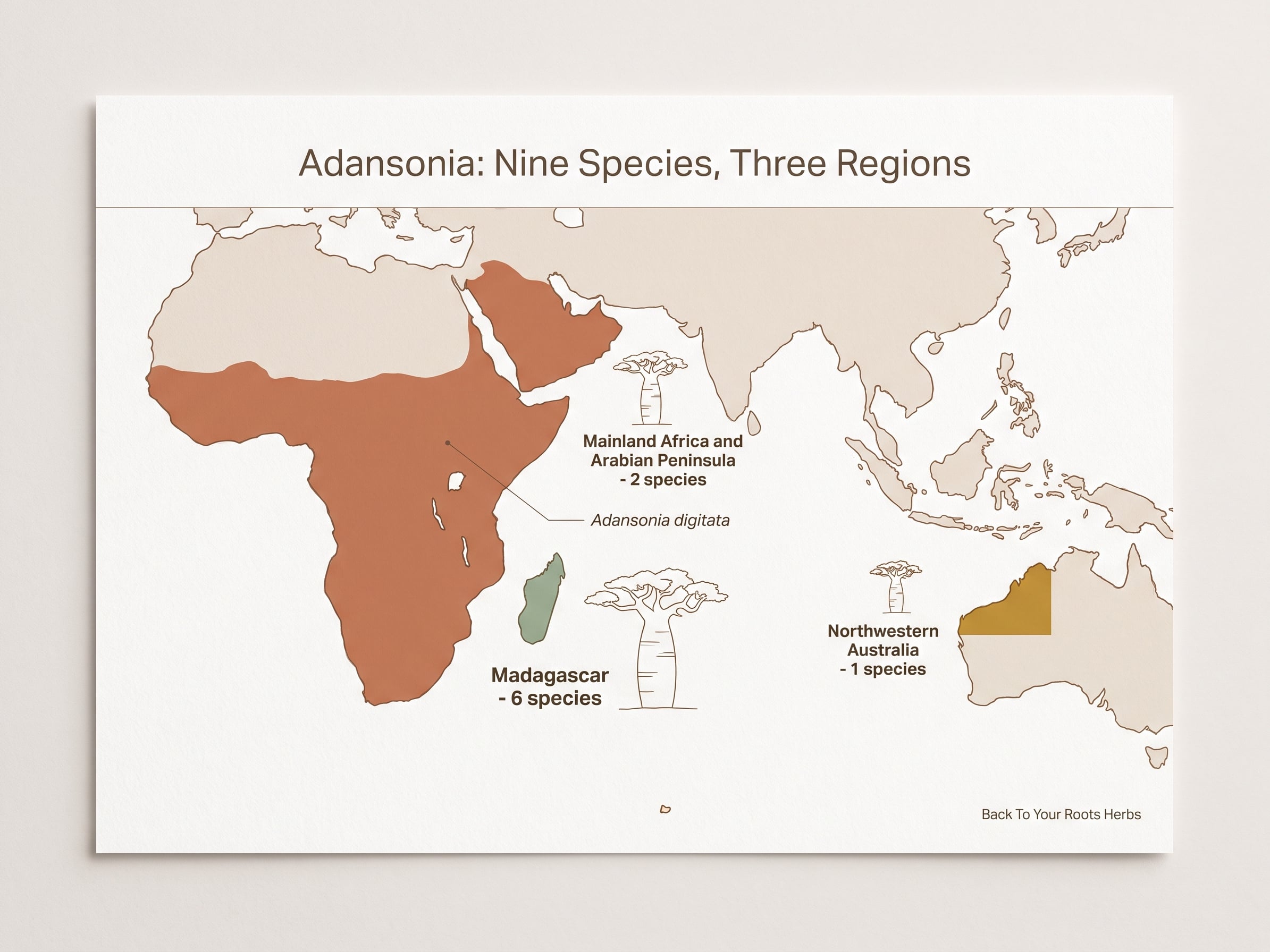 Map of the nine Adansonia baobab species: six in Madagascar, two in mainland Africa and Arabia, one in Australia.