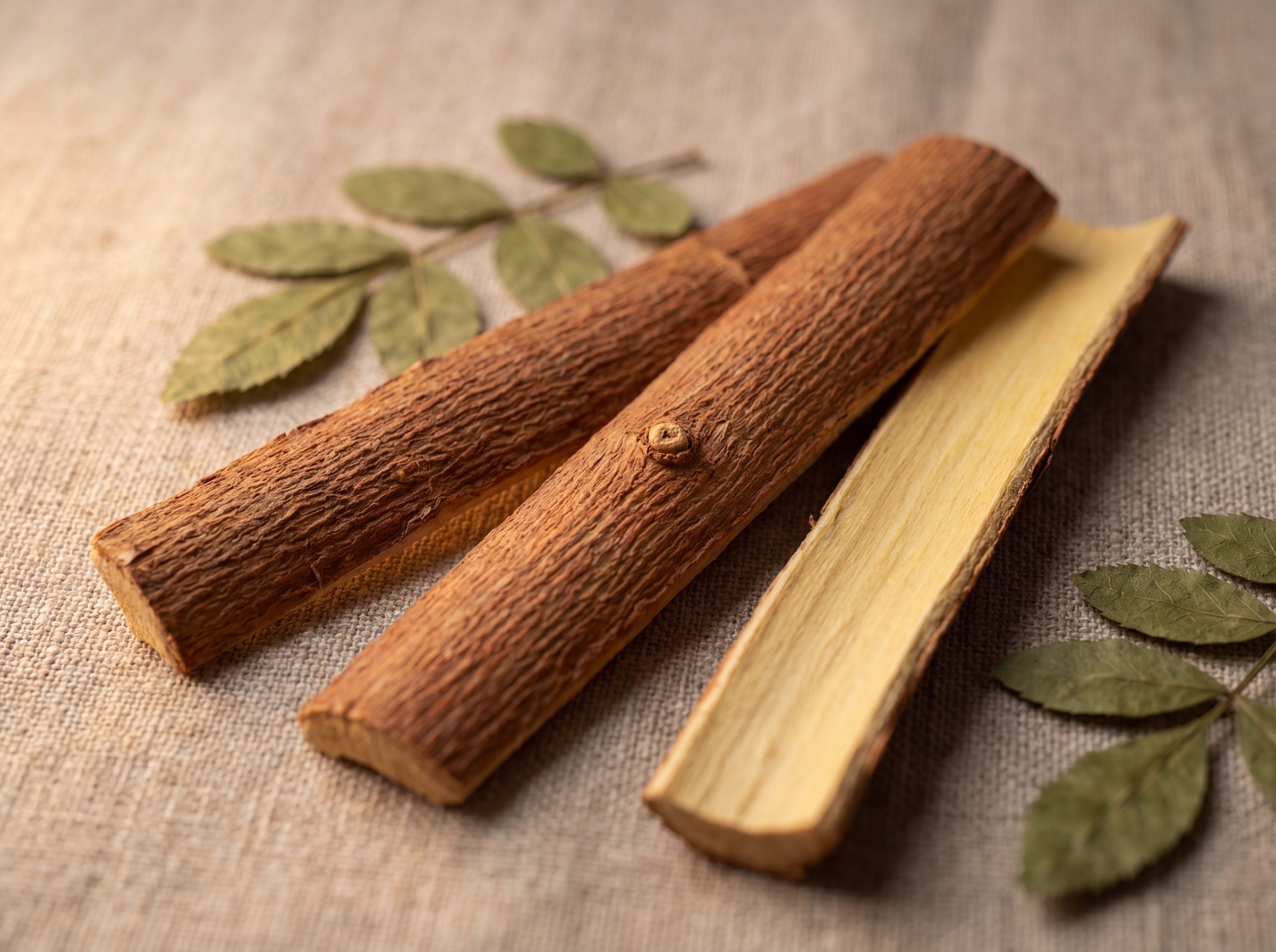 Close up photograph of Zanthoxylum leprieurii root bark strips showing reddish brown outer surface and pale yellow inner layer with longitudinal striations